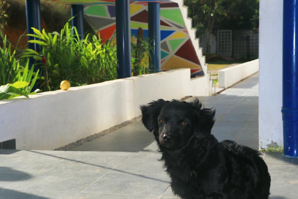 Cristama Residence Inn Ubatuba Dış mekan fotoğraf